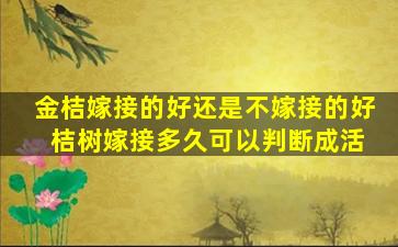 金桔嫁接的好还是不嫁接的好 桔树嫁接多久可以判断成活